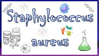 Staphylococcus aureus  Diseases Clinical Presentation Virulence Factors Diagnosis amp Treatment [upl. by Eileme]