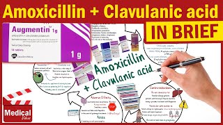 Amoxicillin and Clavulanic Acid  Augmentin  Augmentin Uses Dosage Side Effects amp Precautions [upl. by Henryk]