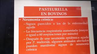 Bacteriología Pasteurella multocida clase [upl. by Dj]