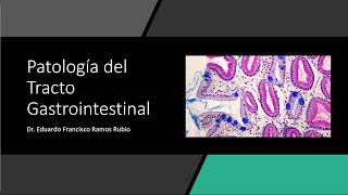 Patología del tracto gastrointestinal [upl. by Anilrahc]