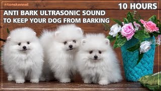 10 Hours Ultrasonic Sound To Stop Your Dog From Barking  Anti Bark Control [upl. by Nyrok]