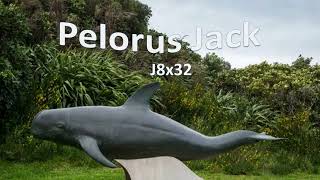 Pelorus Jack [upl. by Ledua537]