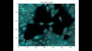 Measuring NuclearCytoplasmic Intensity with CellProfiler [upl. by Genna]