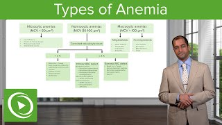 Anemia Microcytic Normocytic amp Macrocytic Type – Hematology  Lecturio [upl. by Demeter563]