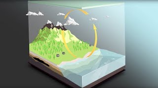 The carbon cycle [upl. by Sessylu]