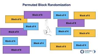 Randomization random allocation [upl. by Ardnala]