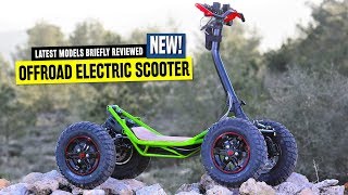 Top 8 Electric Scooters Ranked by Pricing and OffRoad Capabilities in 2020 [upl. by Mile]