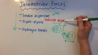 Intermolecular Forces [upl. by Telrats]