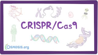 Crispr Cas9 Genome Editing System [upl. by Enelhtac]