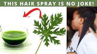 TURN WHITE HAIR TO BLACK HAIR NATURALLY USING PAPAYA LEAVES AND GROW LONG HAIR OVERNIGHT [upl. by Atteynad796]