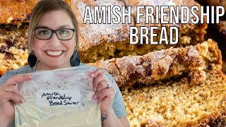 Amish Friendship Bread Recipe  How to make Starter [upl. by Akinuahs]