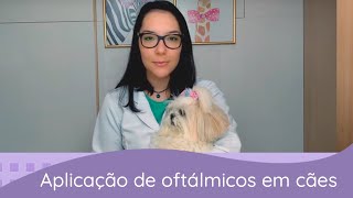 Medicamentos oftálmicos como aplicar no seu cachorro [upl. by Necyla]