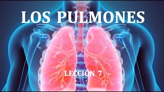 7 LOS PULMONES [upl. by Bergin]