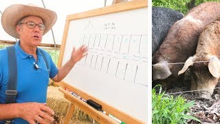 Joel Salatin Teaches Pasture Pigs for Profit [upl. by Cathyleen855]