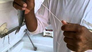 IGFA School of Sportfishing Simple Ballyhoo Rig for a Circle Hook [upl. by Eenattirb]