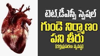 Biology  Heart functions amp blood circulation in Heart  Telugu [upl. by Rengia]