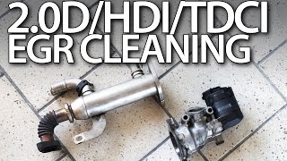 20HDi 20TDCi 20D EGR valve cleaning [upl. by Strage]