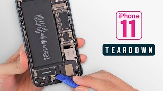 iPhone 11 Teardown Guide For Repairs [upl. by Dadinirt]