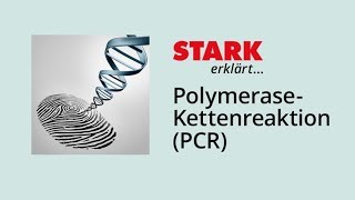 PCR – PolymeraseKettenreaktion  STARK erklärt [upl. by Perrine792]