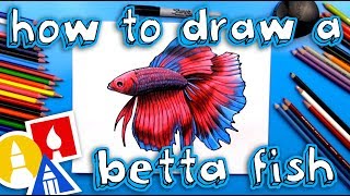 How To Draw A Realistic Betta Fish Siamese Fighting Fish [upl. by Eluk]