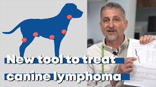 New tool to treat canine lymphoma [upl. by Arni883]