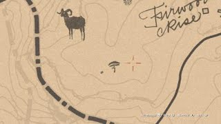 Red Dead Redemption 2 Parasol Mushroom Location [upl. by Ilke]