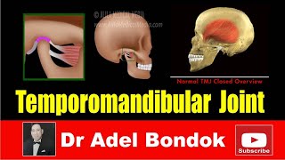 Temporomandibular Joint Dr Adel Bondok [upl. by Eelrehpotsirhc]