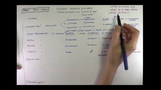 Filosofía de KANT Español [upl. by Zehc]