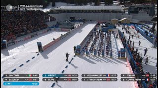 Biathlon Season 2425  Pursuit Men  Lenzerheide SUI [upl. by Ahsimat]