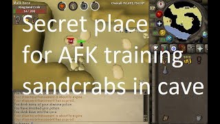 OSRS Sand Crabs guide  Hidden spot [upl. by Anwahsal240]