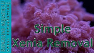 Simple Xenia Removal [upl. by Abrahamsen]