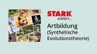 Artbildung nach der Synthetischen Evolutionstheorie  STARK erklärt [upl. by Esinrahc]