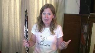 A Clarinet Practise Guide  Succeed More Quickly [upl. by Vidovik732]