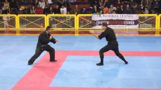 BUJINKAN KANAKIS DOJO  Ninjutsu 25112012 Demonstration [upl. by Flore204]