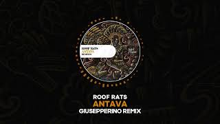 Roof Rats  Antava Giusepperino Remix [upl. by Atsylak]