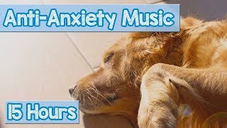 10 Hours of Relaxing Music 💖 Sleep Music Soft Piano Music amp Healing Music ♬ Dog Puppy Pet [upl. by Norrab]