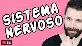 SISTEMA NERVOSO  FISIOLOGIA  Aula  Biologia com Samuel Cunha [upl. by Annoyk510]