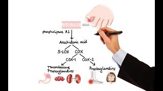 Pharmacology  NSAIDs amp PROSTAGLANDIN ANALOGS MADE EASY [upl. by Siulegroj201]