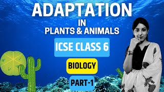 Adaptation in Plants amp Animals  ICSE CLASS 6 BIOLOGY  PART1 [upl. by Him]