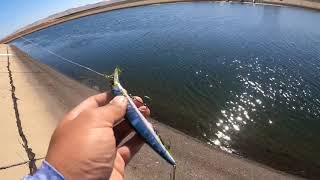 How to fish the ca aqueduct Tips on where and how to fish [upl. by Hnaht]