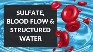 Sulfation EZ Water amp Red Blood Cells Maintaining Blood Flow [upl. by Eadwine]