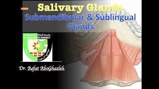 Submandibular and Sublingual Glands [upl. by Nessi847]