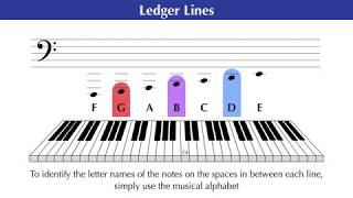 LEDGER LINES and HOW TO read them [upl. by Levin241]