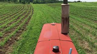 cultivating a corn field on a Wisconsin family farm [upl. by Valenba]