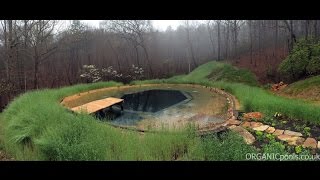 How to make a Natural  Organic Pool in America [upl. by Alisha]