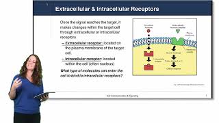 Cell Physiology Cell Signaling [upl. by Wendalyn]