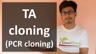 TA Cloning PCR cloning [upl. by Aihsit476]