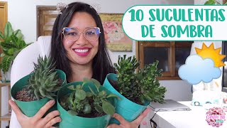 10 SUCULENTAS DE SOMBRA│Candy Bu [upl. by Sylram]