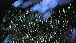 Jurassic Park VHS trailersopening [upl. by Schilt]