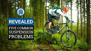 Five Common Suspension Problems amp How To Fix Them [upl. by Arraeic]